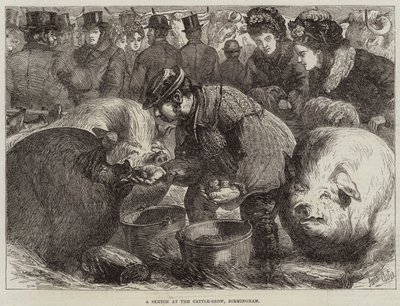 En skitse fra kvægudstillingen i Birmingham af Samuel John Carter